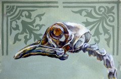 bird skull